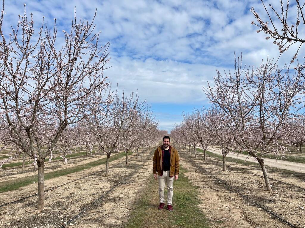 Fons paseando por los almendros en flor Almendros en flor