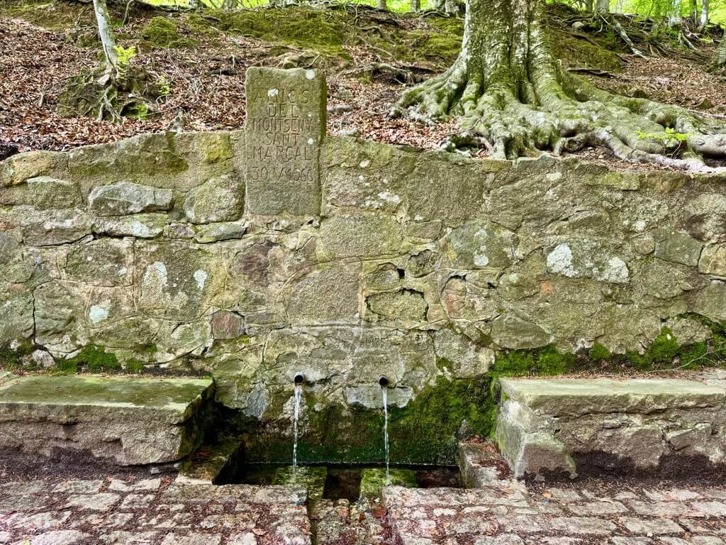Font Bona