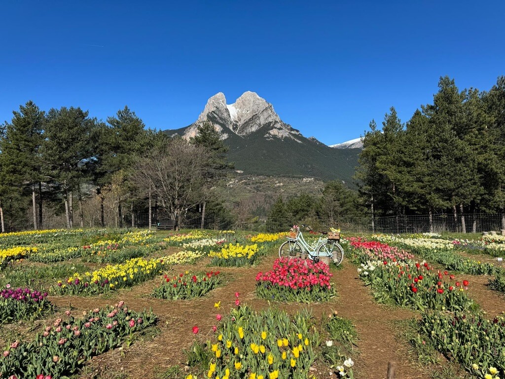 Ruta por el Berguedà
