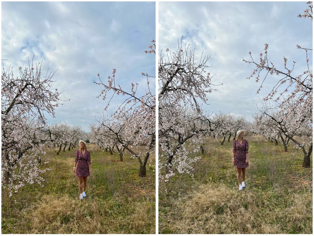 Leila en uno de los campos de Almendros en Flor Almendros en flor