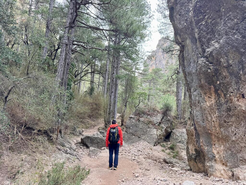 Fons en el tramo de bosque Ruta del Parrizal de Beceite