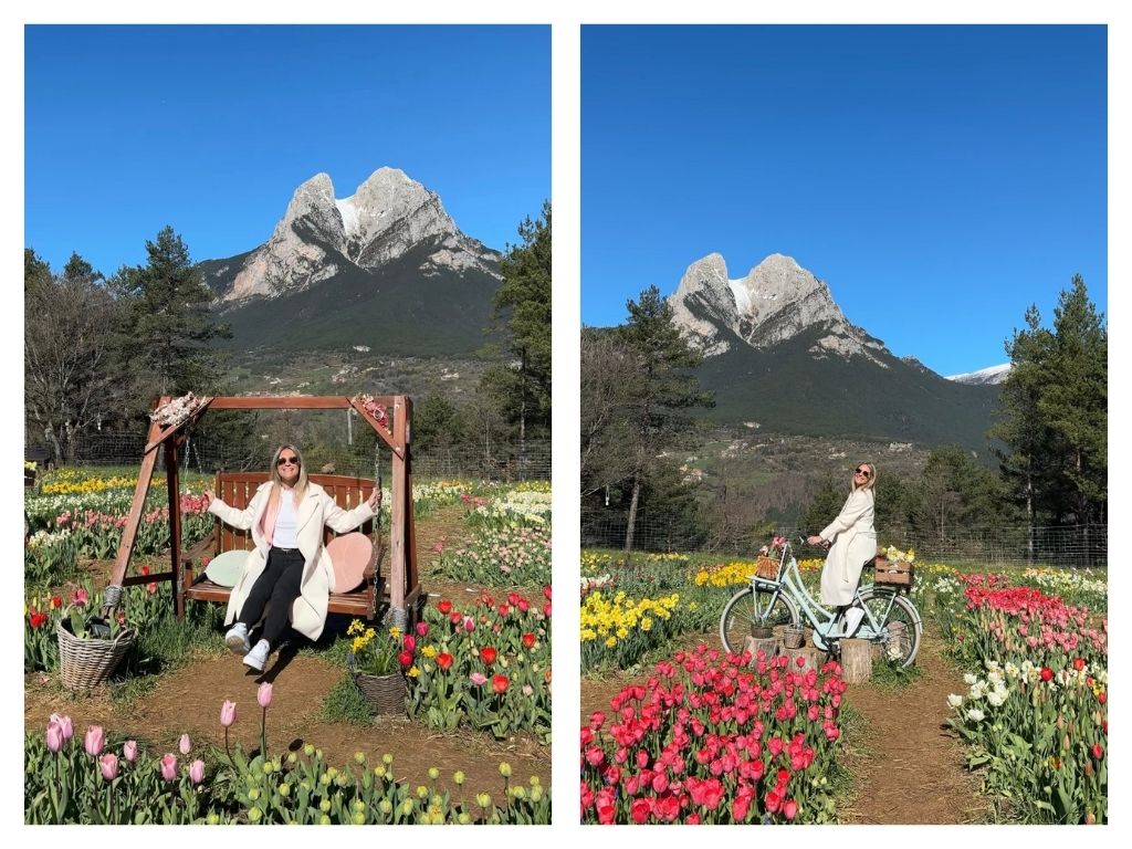 Tulipmania