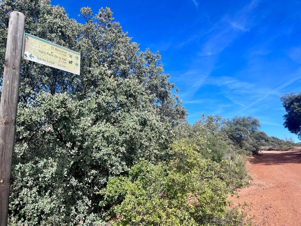 camino hacia el mirador del Balconet Ruta en familia