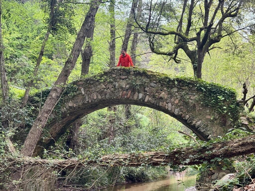 Arbúcies